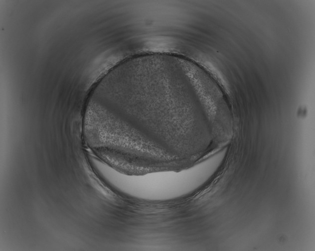 X0000091950397200710041012