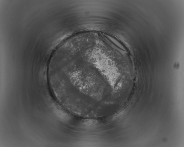 X0000091950398200710041012