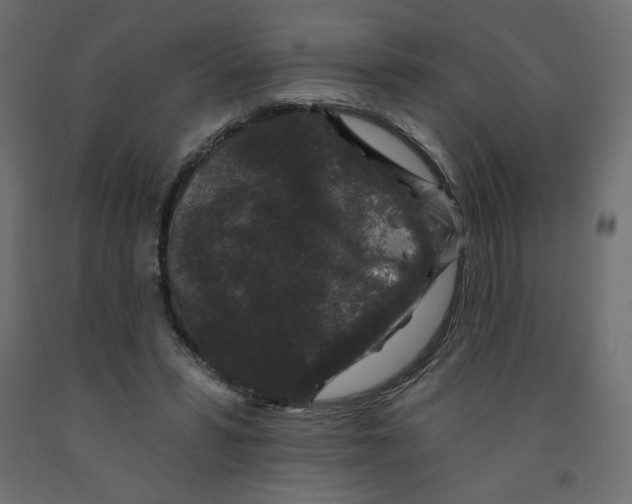 X0000091950399200710041012