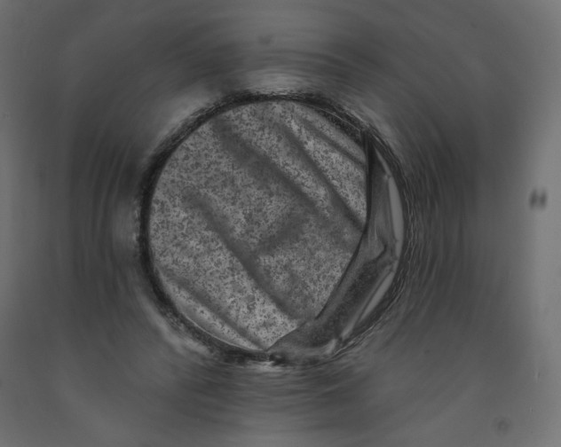 X0000091950400200710041012