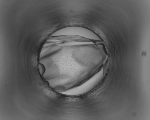 X0000091950401200710041012
