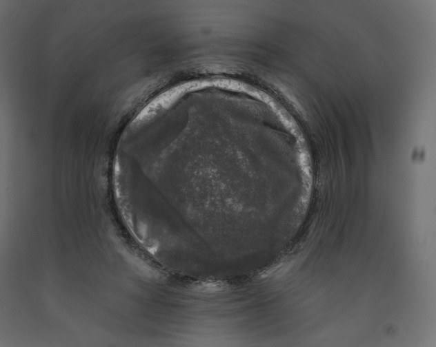 X0000091950402200710041012