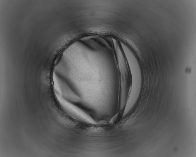 X0000091950403200710041012