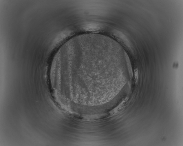 X0000091950404200710041012