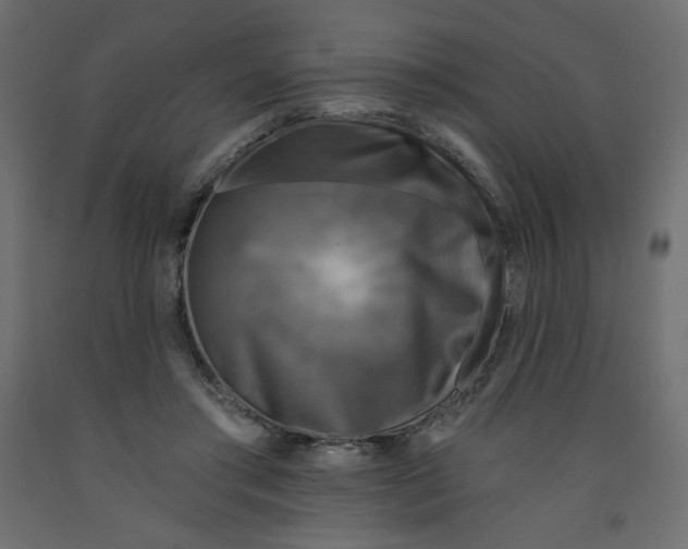 X0000091950405200710041012
