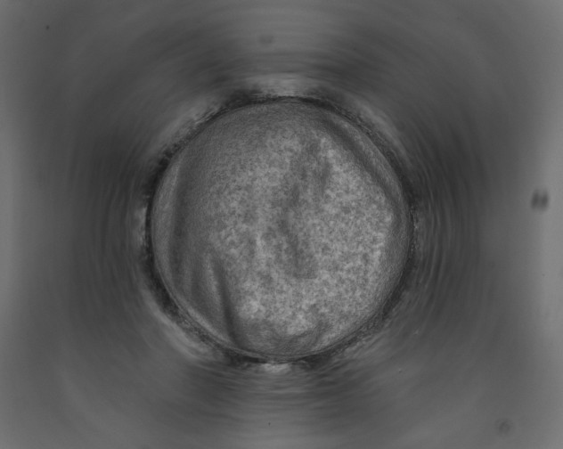 X0000091950406200710041012