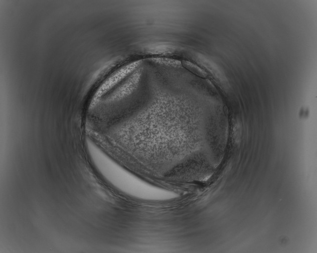 X0000091950407200710041012