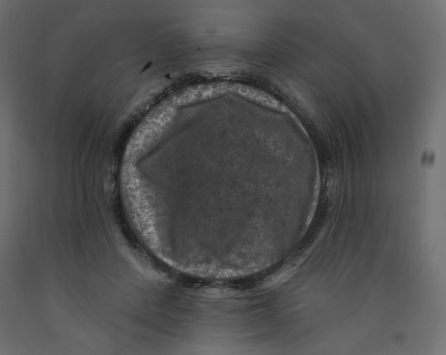 X0000091950408200710041012