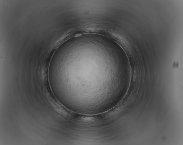X0000091950409200710041012