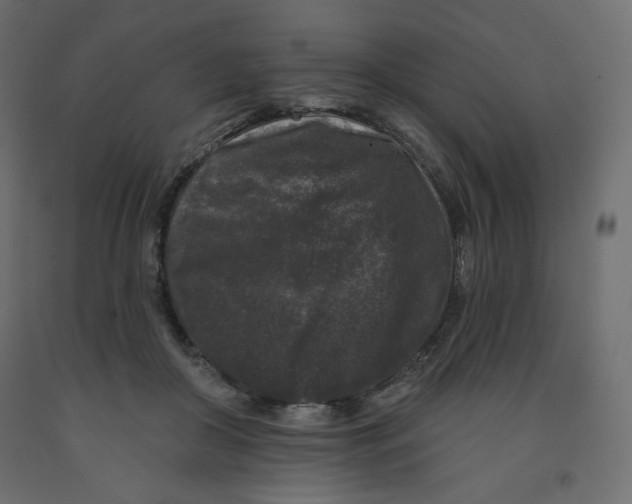X0000091950410200710041011