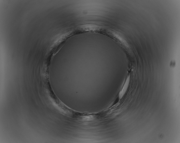 X0000091950411200710041011