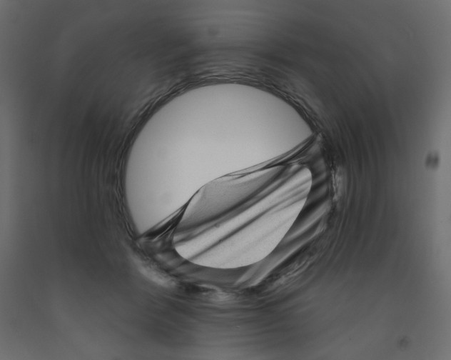 X0000091950412200710041011