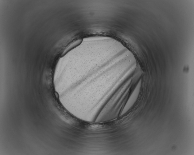 X0000091950413200710041011