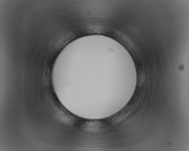 X0000091950414200710041011