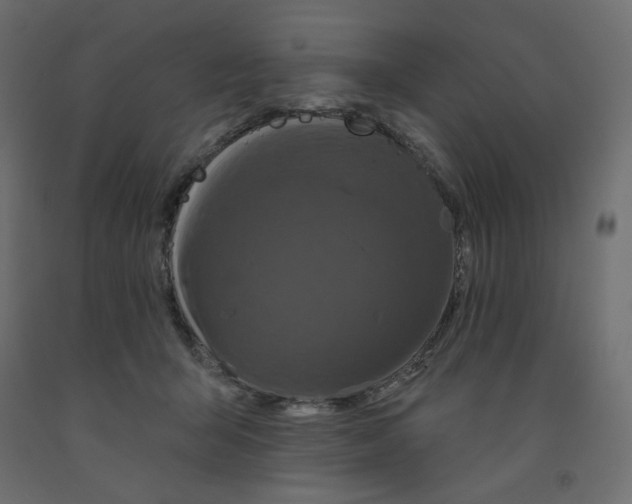 X0000091950415200710041011