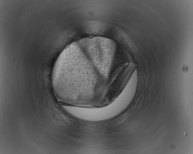 X0000091950416200710041011