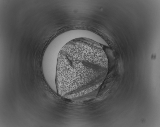 X0000091950417200710041011