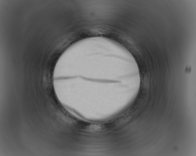 X0000091950418200710041011