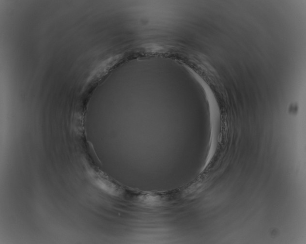 X0000091950419200710041011
