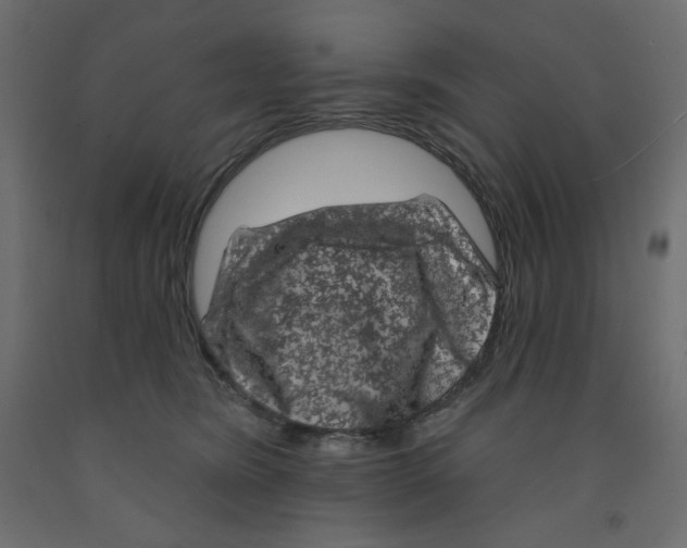 X0000091950420200710041011