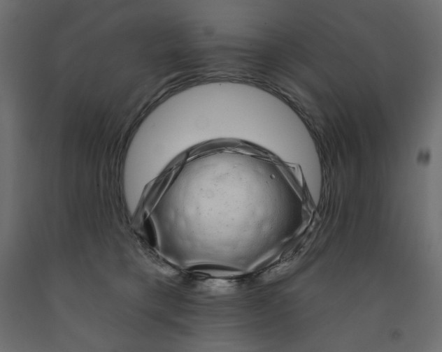 X0000091950421200710041011