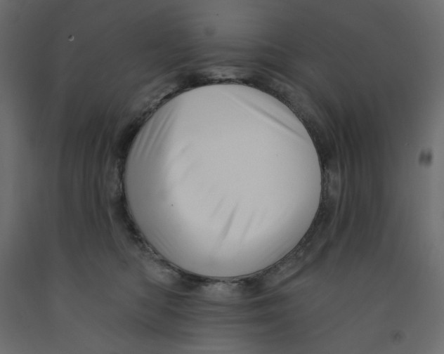 X0000091950422200710041011