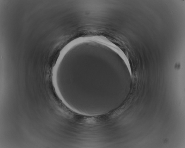 X0000091950423200710041011