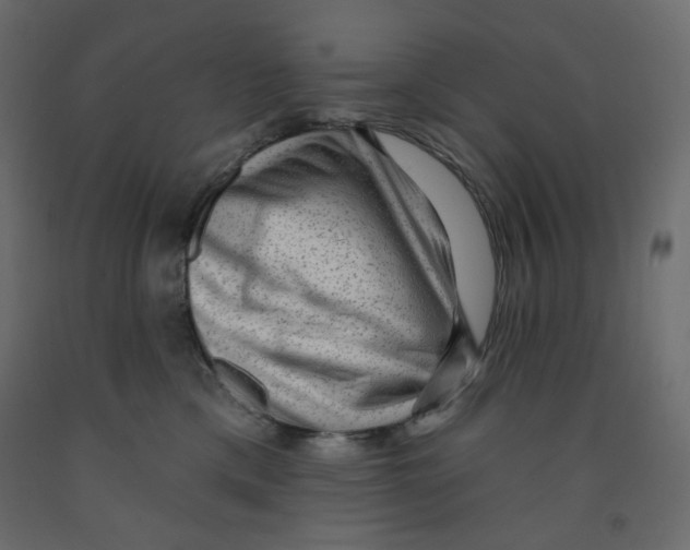 X0000091950425200710041011