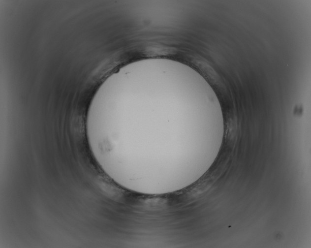 X0000091950426200710041011