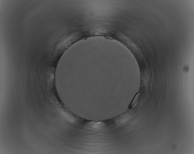 X0000091950427200710041011