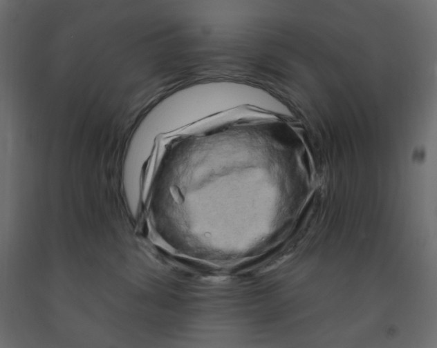 X0000091950428200710041011