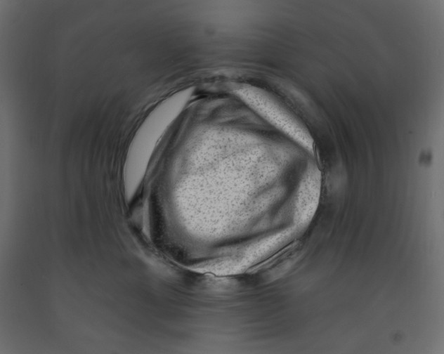 X0000091950429200710041011