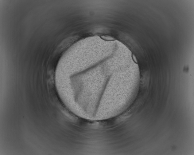X0000091950430200710041011