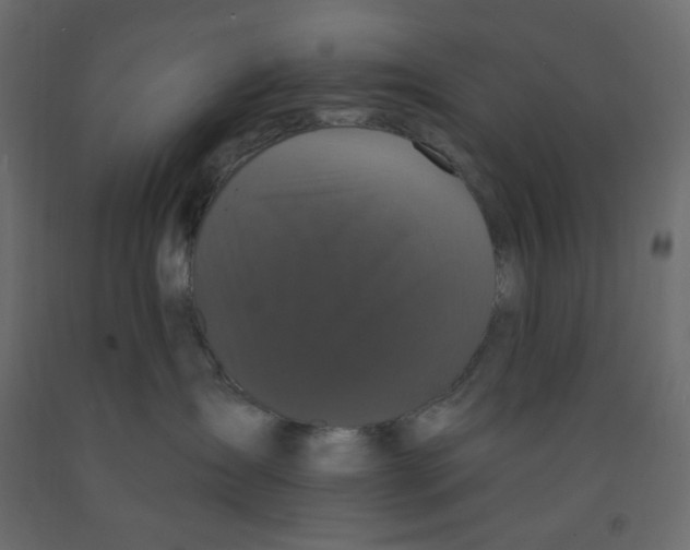 X0000091950431200710041011