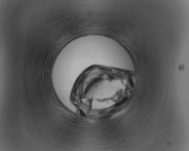 X0000091950432200710041011