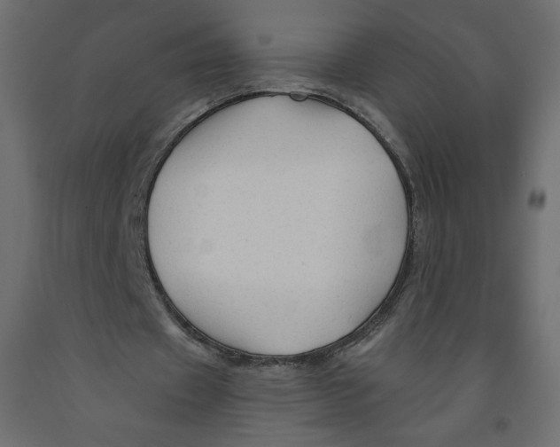 X0000091950433200710041011