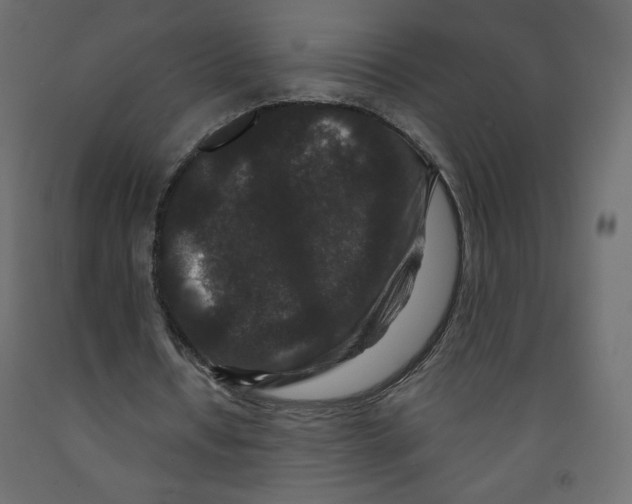 X0000091950434200710041011