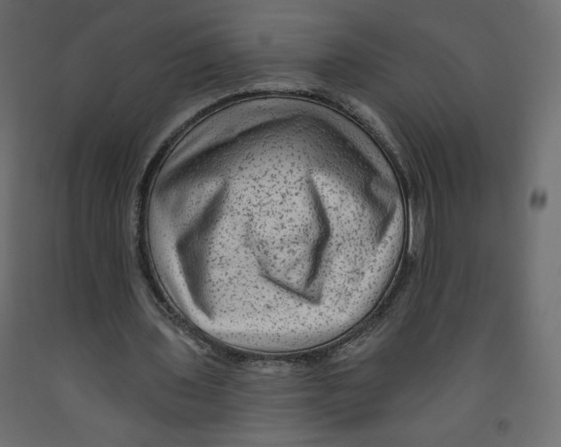 X0000091950435200710041011