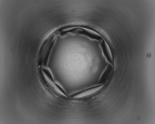 X0000091950436200710041011