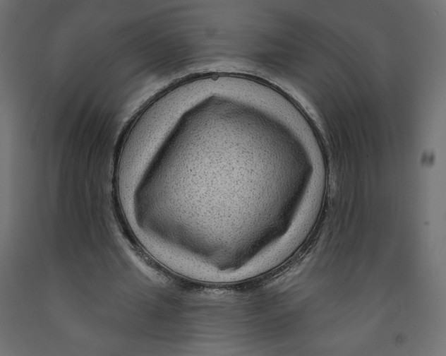 X0000091950437200710041011