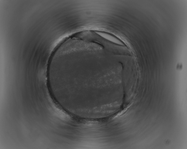X0000091950438200710041011