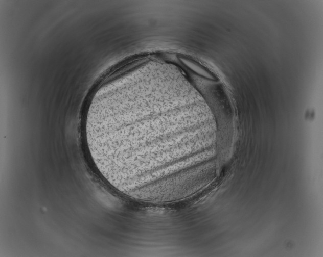 X0000091950439200710041011