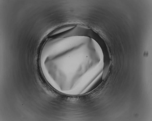 X0000091950440200710041011