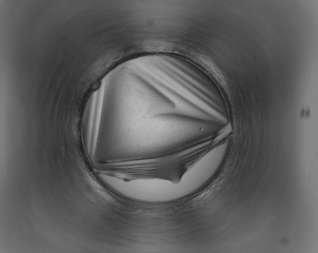 X0000091950441200710041011