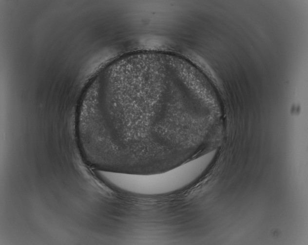 X0000091950442200710041011