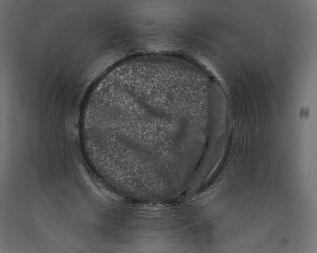 X0000091950443200710041011