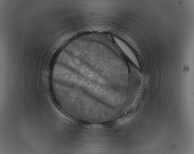 X0000091950444200710041011