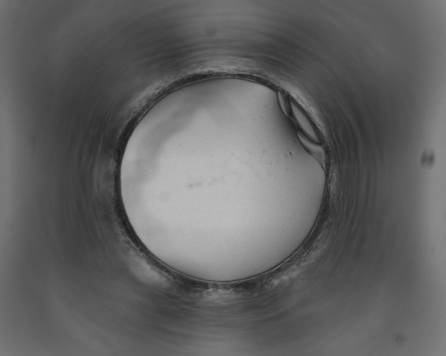 X0000091950445200710041011