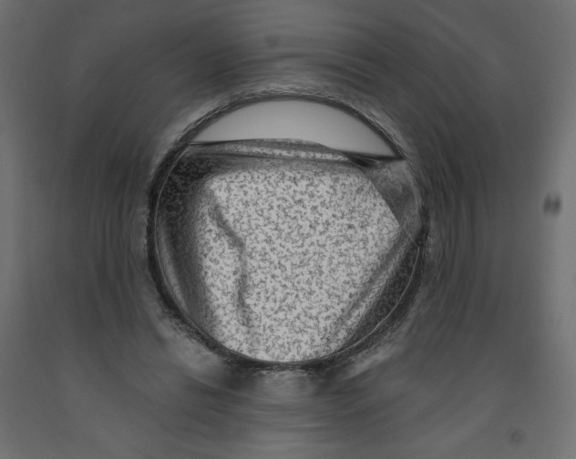 X0000091950446200710041011