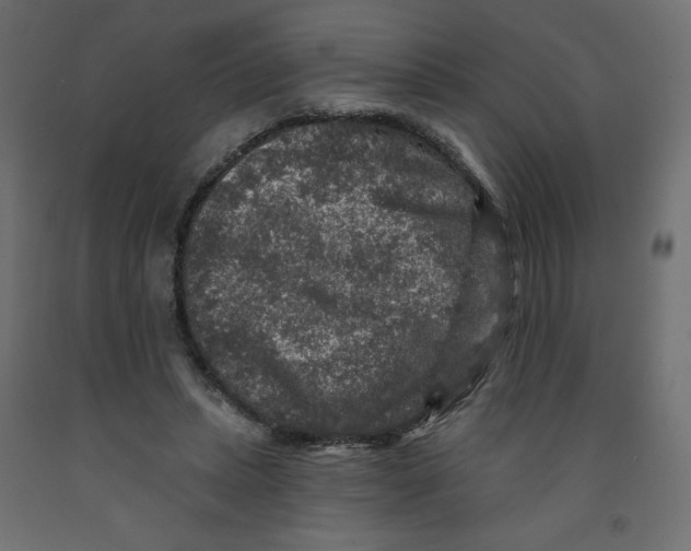 X0000091950447200710041011